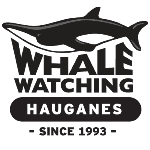 whale-logo